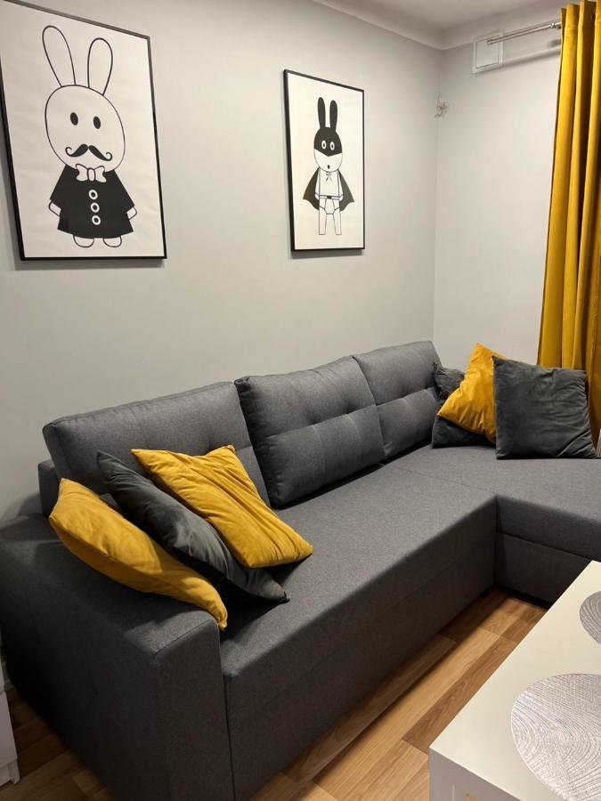 Family & Business Elegant Apartments Rynek Centrum Downtown - 2 Bedroom, Balcony, Parking Kielce Exterior photo